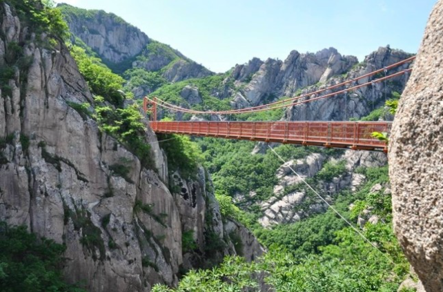 영암 1인 가구 생활 루틴 분석— 작은 군청 도시에서 살아본 사람이 느끼는 실제 하루의 흐름