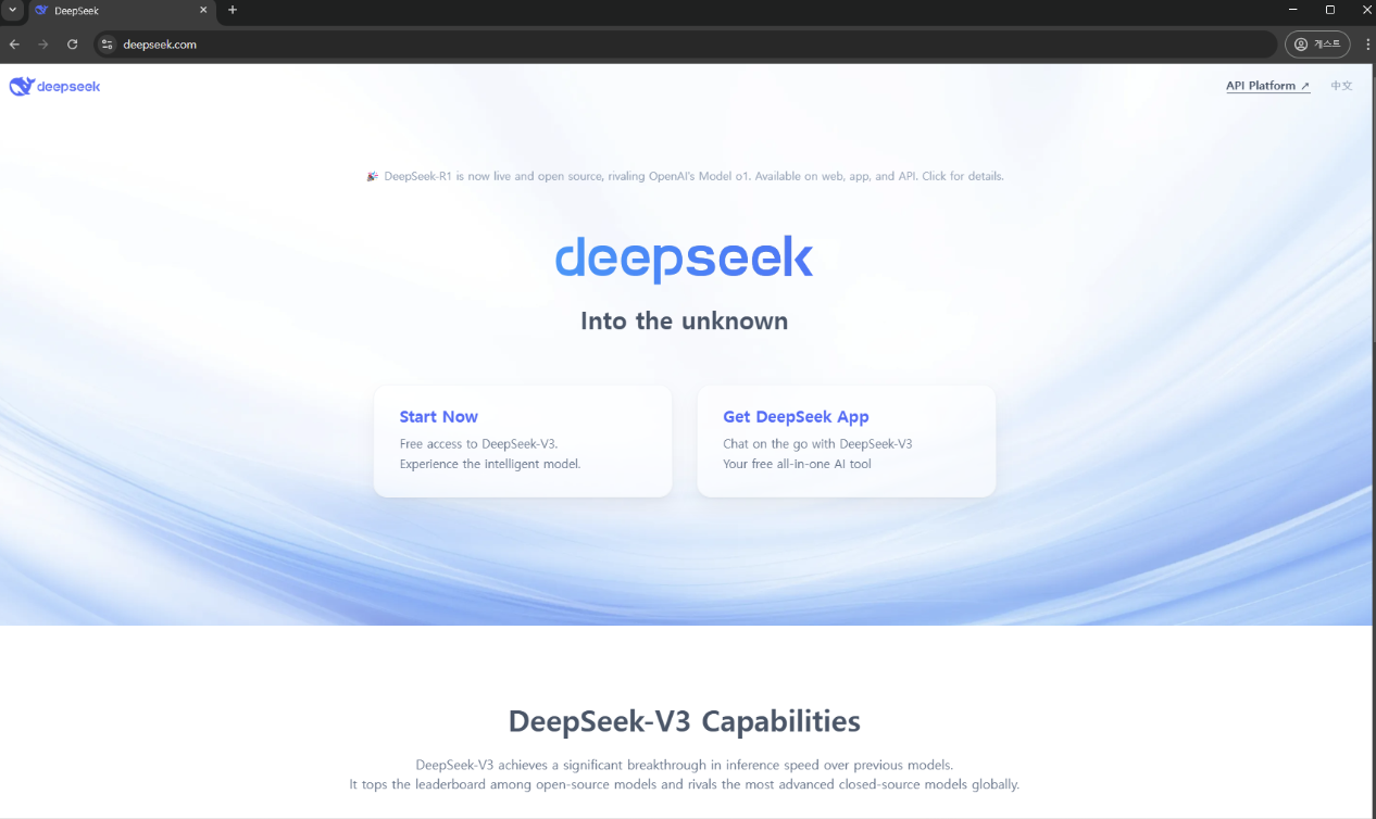 딥시크 홈페이지