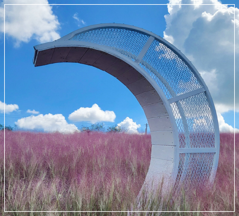 고창 청농원 핑크뮬리 축제 이미지/ 출처: 고창 청농원