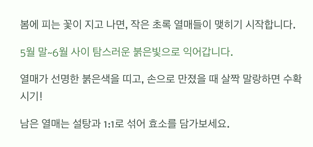가장 달콤한 순간, 수확의 기쁨