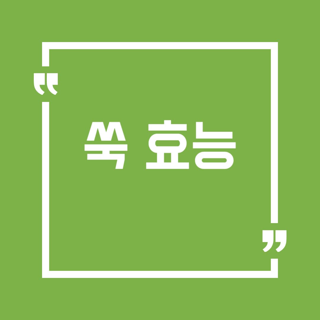 쑥 효능 총정리! 면역력부터 피부미용까지 쑥쑥 좋아지는 이유