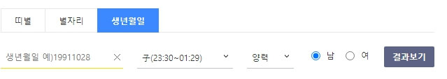다음-신년운세