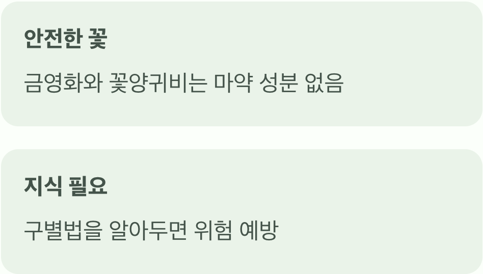 아름다움, 알고 즐겨야 안전합니다