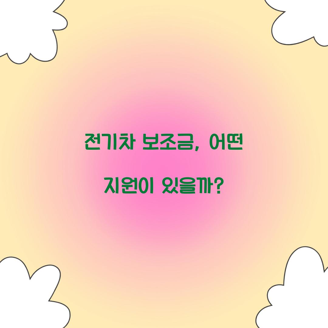 전기차 보조금
