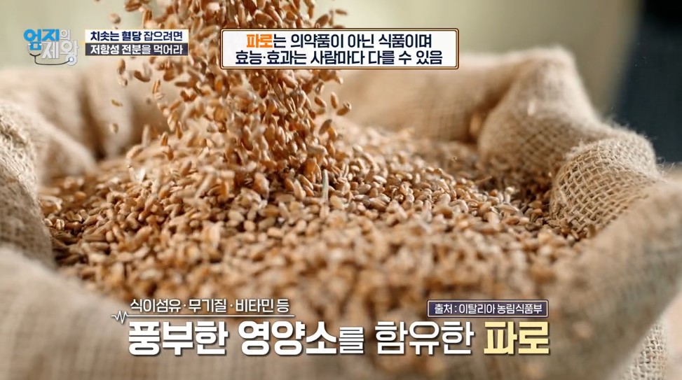 췌장해독 3단계 파로 먹어라