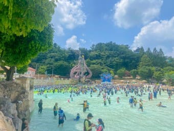 캐리비안베이 입장료