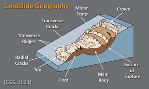 일본 지진 예언