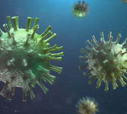 니파바이러스 치사율, 증상과 예방법