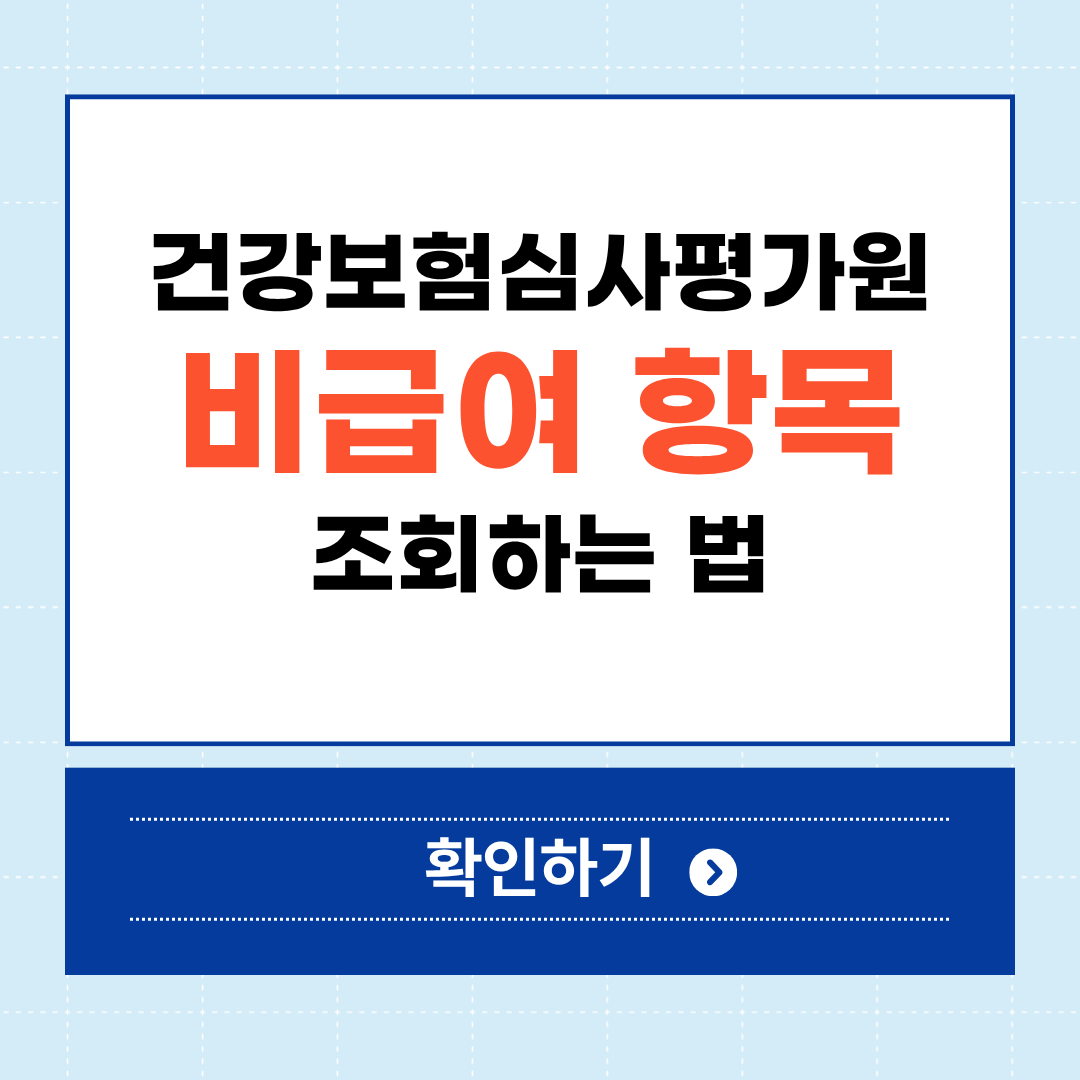 건강보험심사평가원 비급여항목