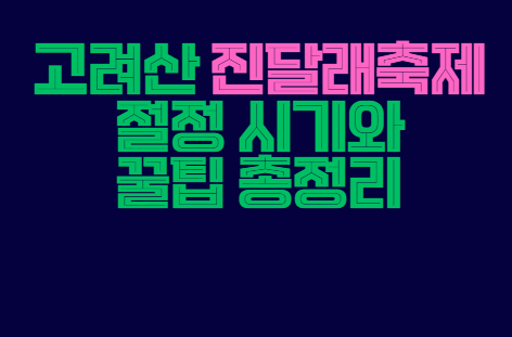 고려산_진달래축제