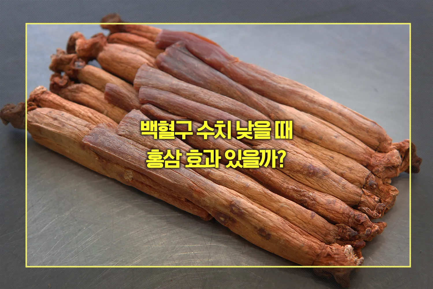 백혈구 수치 낮을 때 홍삼 효과는