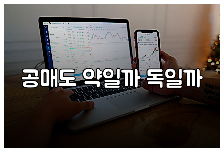 공매도 약일까 독일까