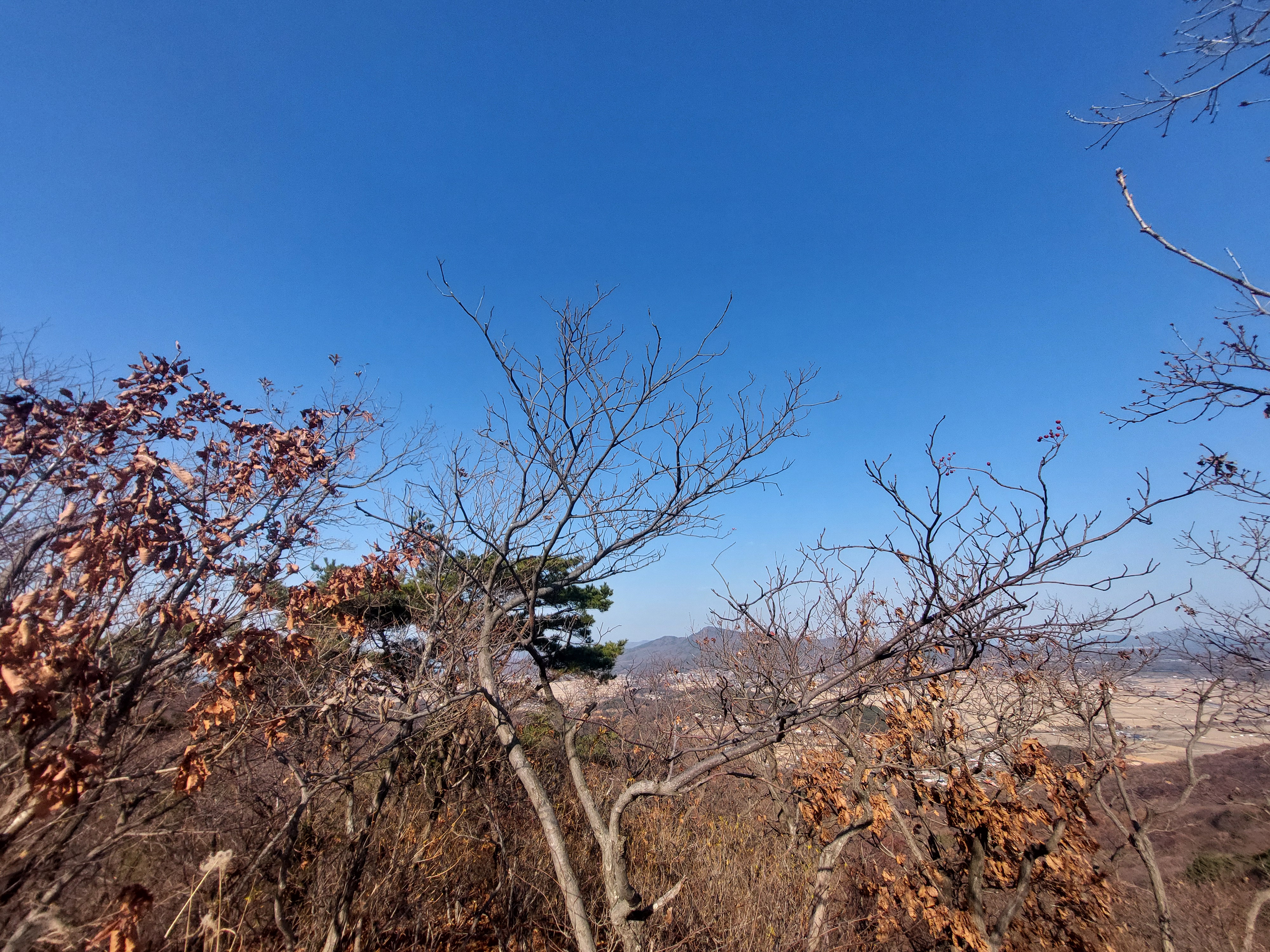 마니산