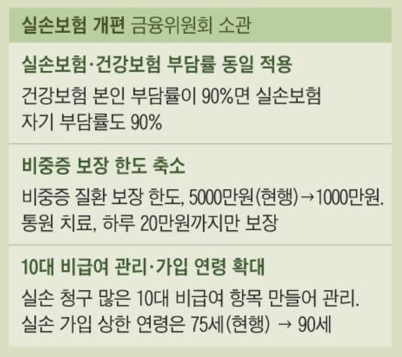 정부의 실손보험 개편안 주요내용