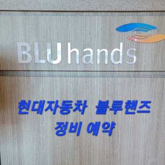 현대자동차 블루핸즈 예약