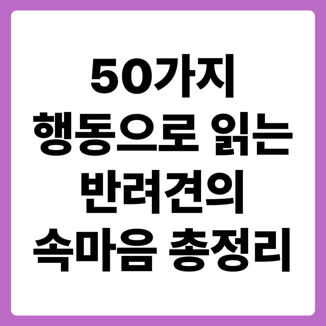 50가지 행동으로 읽는 우리 아이의 속마음 총정리
