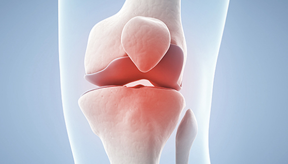 글루코사민 효능, 부작용, 복용법, 추천 상품