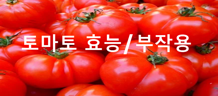 토마토