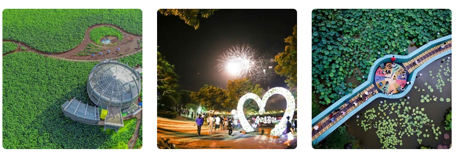 무안연꽃축제 관련 사진