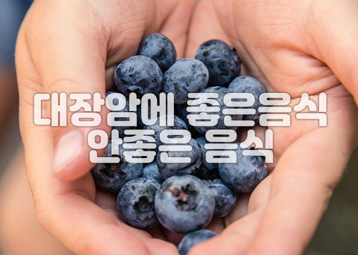 블루베리 이미지