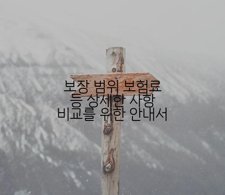 보장 범위 보험료 등 상세한 사항 비교를 위한 안내서