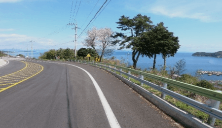 제주 렌트카 주의사항