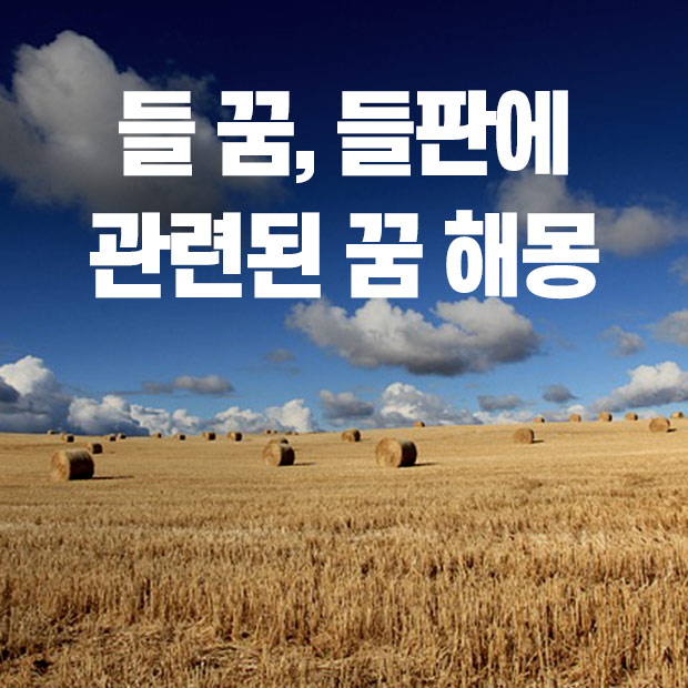 들판 꿈 해몽, 황금들판 꿈, 들판에 관련된 꿈 해몽