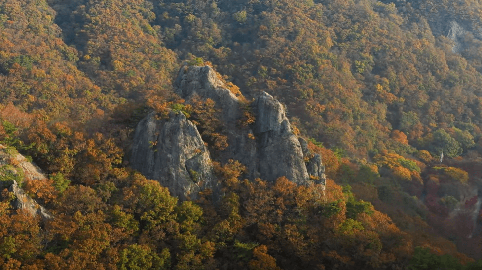 내장산