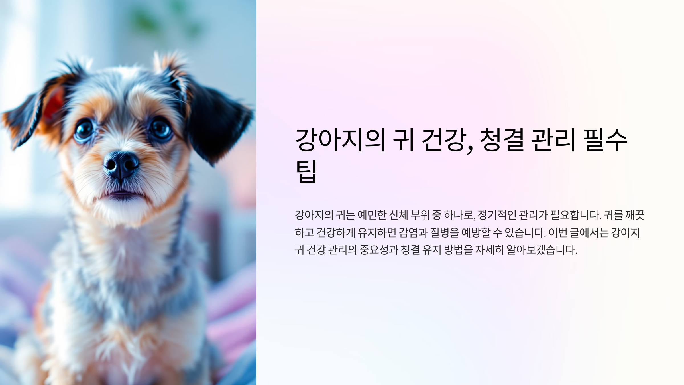 강아지의 귀 건강, 청결 관리 필수 팁