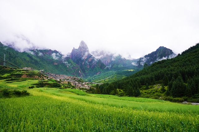 호주 스키프 하이랜드 마을 풍경