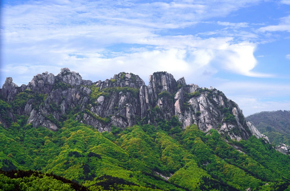 강원도 힐링로드 걷기 좋은 길 따라 떠나는 여정