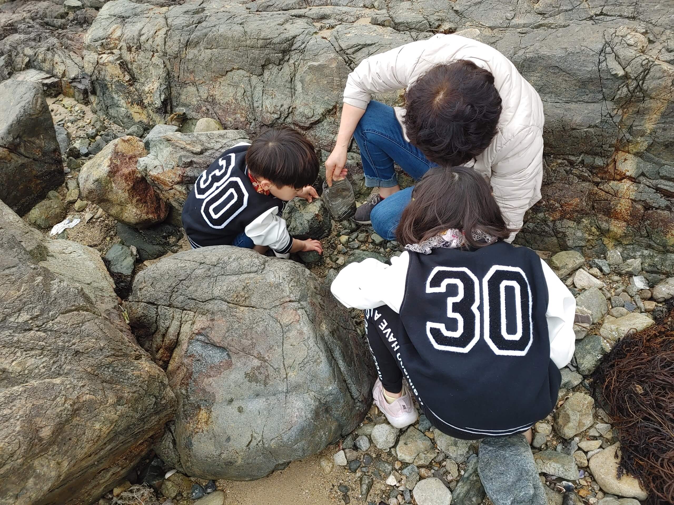 더_카이트21_펜션_해변가_꽃게_고동잡기
