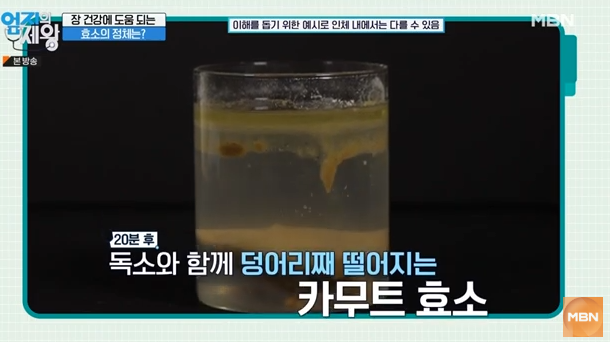 카무트, 카무트 효소