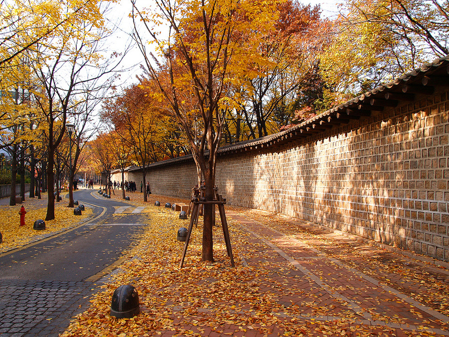 가을 축제 : 가을 여행