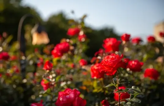 올림픽공원-주차요금-주차장-이용