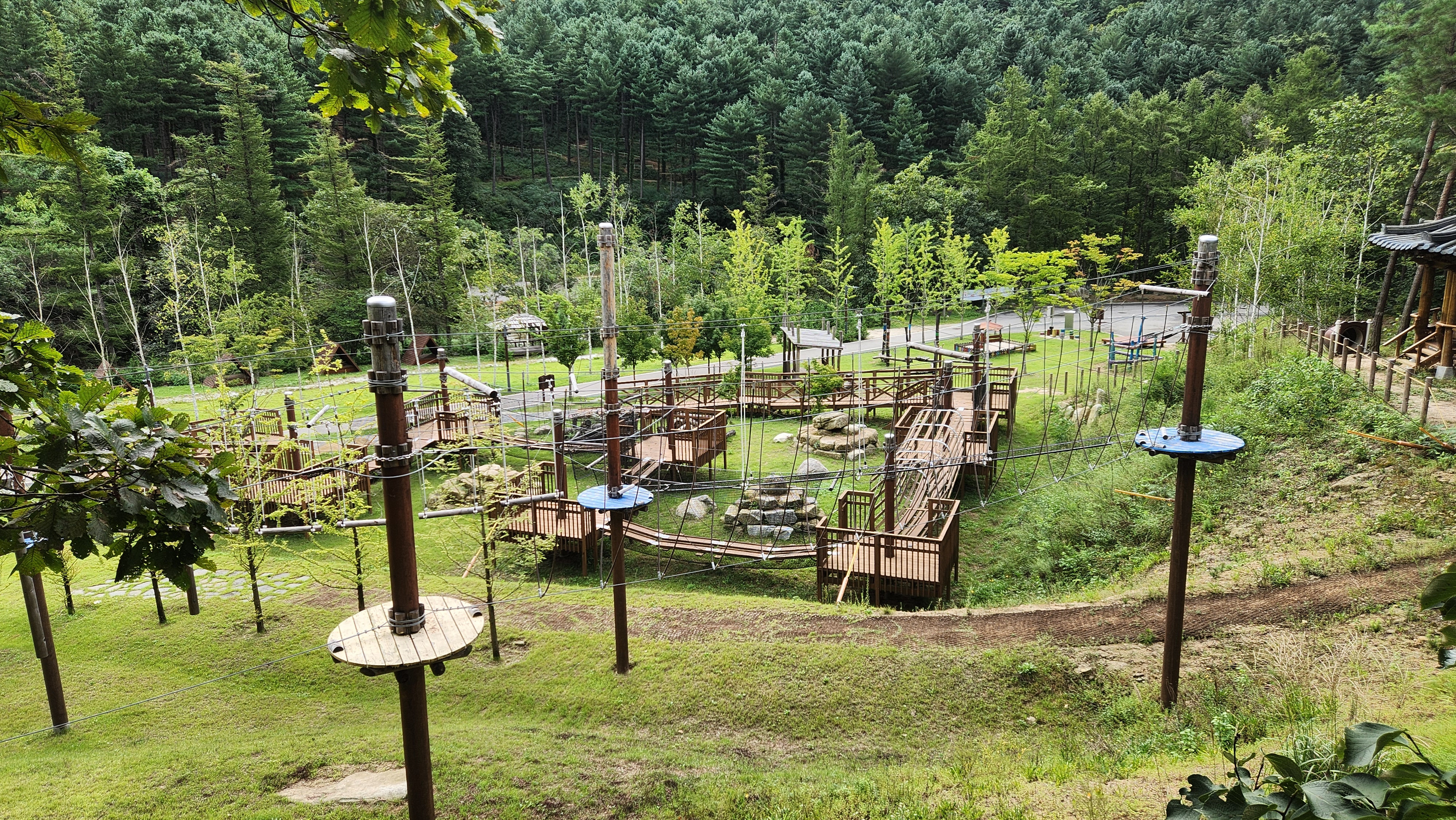 위에서 내려다본 국립춘천숲체원 모험숲