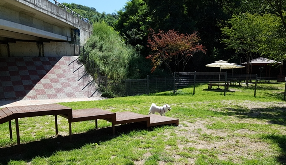 용인 반려견 놀이터