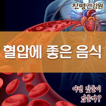 혈압 낮추는 음식 식단표 일주일 레시피 장보기_23