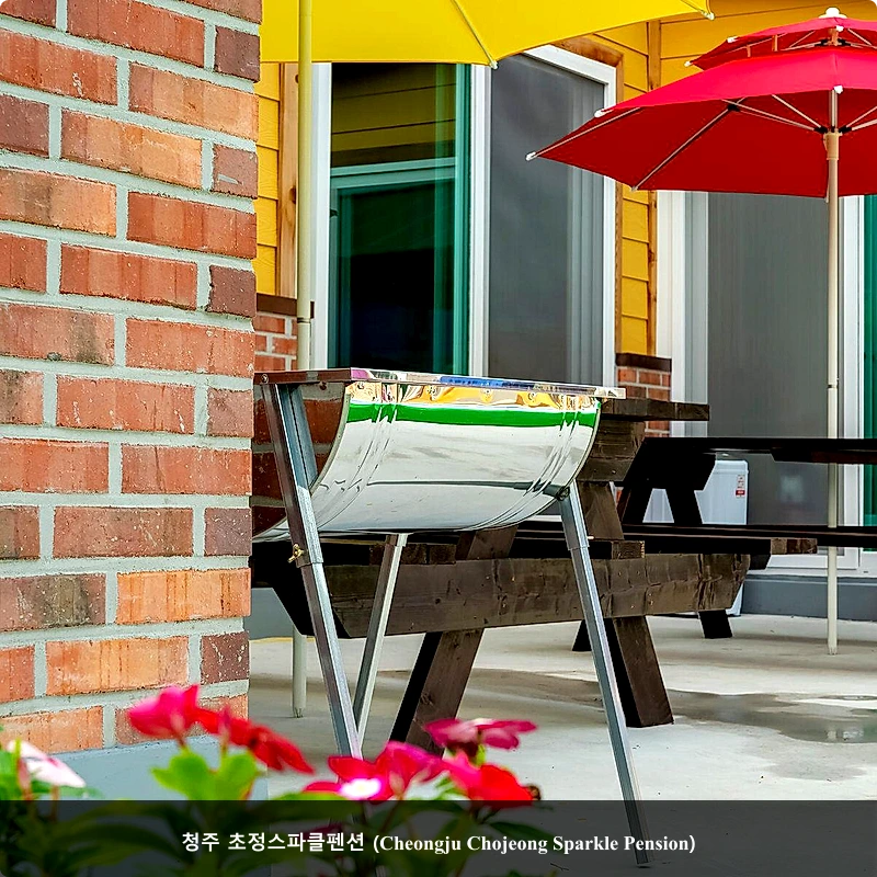 청주 초정스파클펜션 (Cheongju Chojeong Sparkle Pension)_2