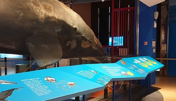 장생포고래박물관