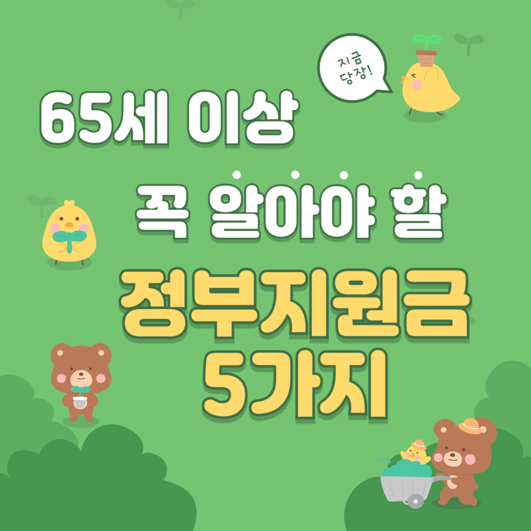 65세 이상 꼭 알아야 할 정부 지원금 5가지 (2025년 최신 정리)