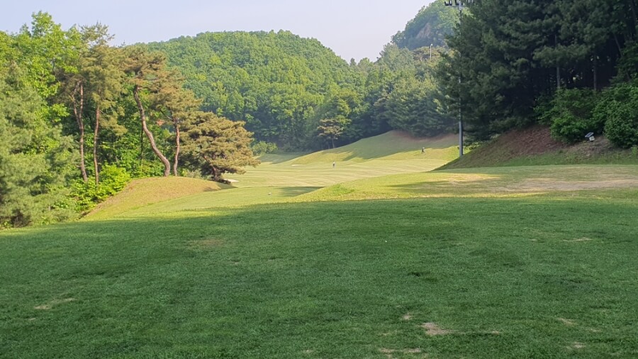 골프장 경험담 원주 센추리21cc 코스 다양성과 지형 특성 덕분에 여러 난이도의 라운드를 즐기는 골프장