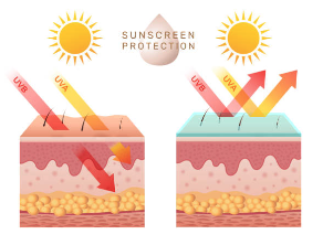선크림 바르는법 정리