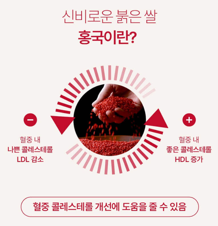 고혈압약 홍국