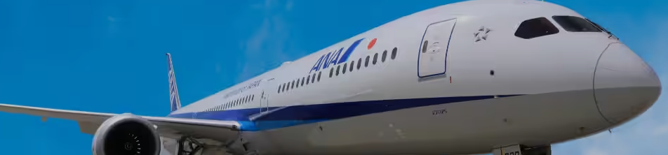 ANA 항공사 마일리지