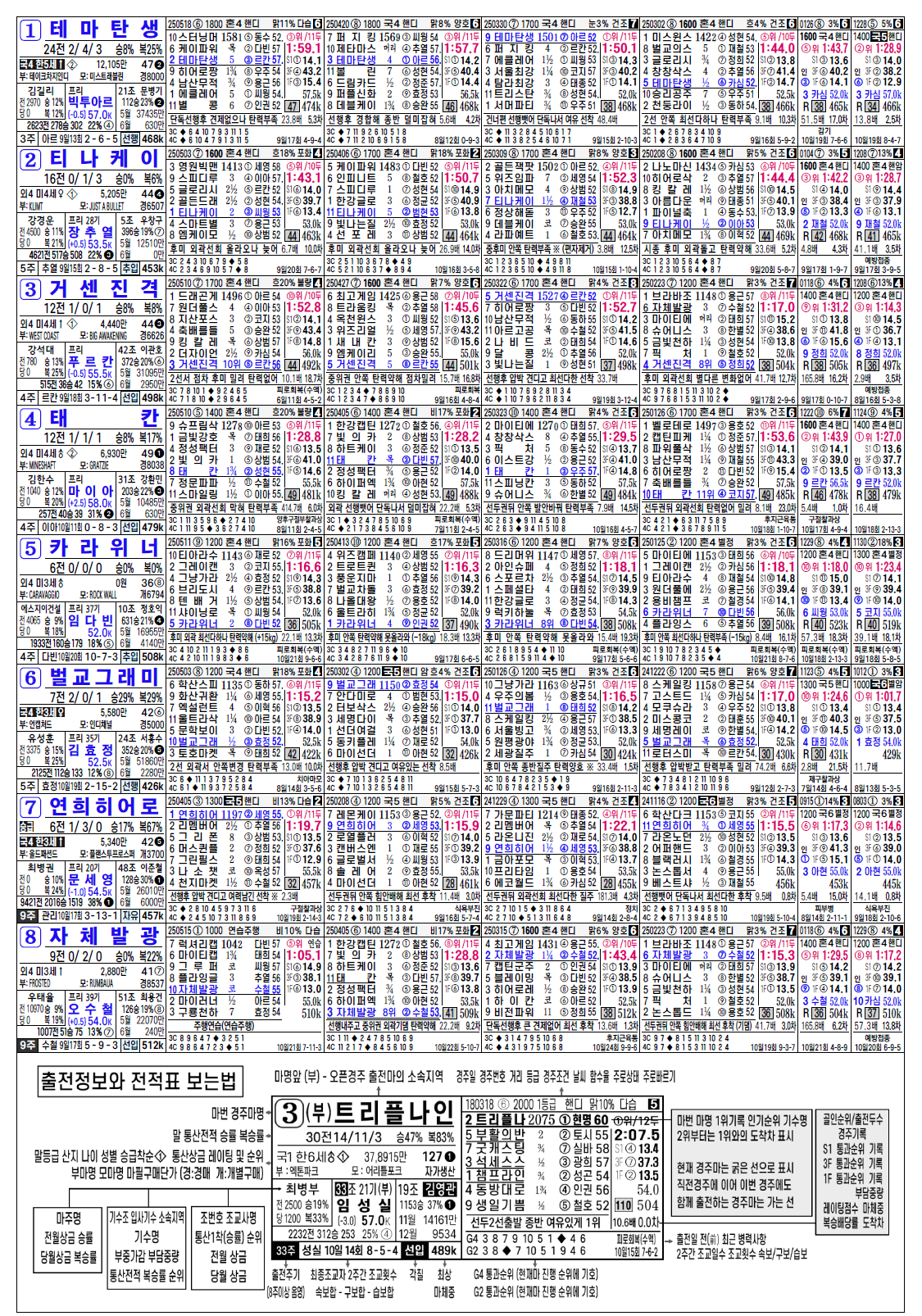 트리플나인 에상지 경주결과 전적표