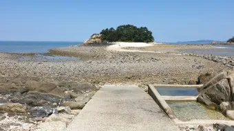 소야도 물때표 여행 낚시 해루질 배편_5