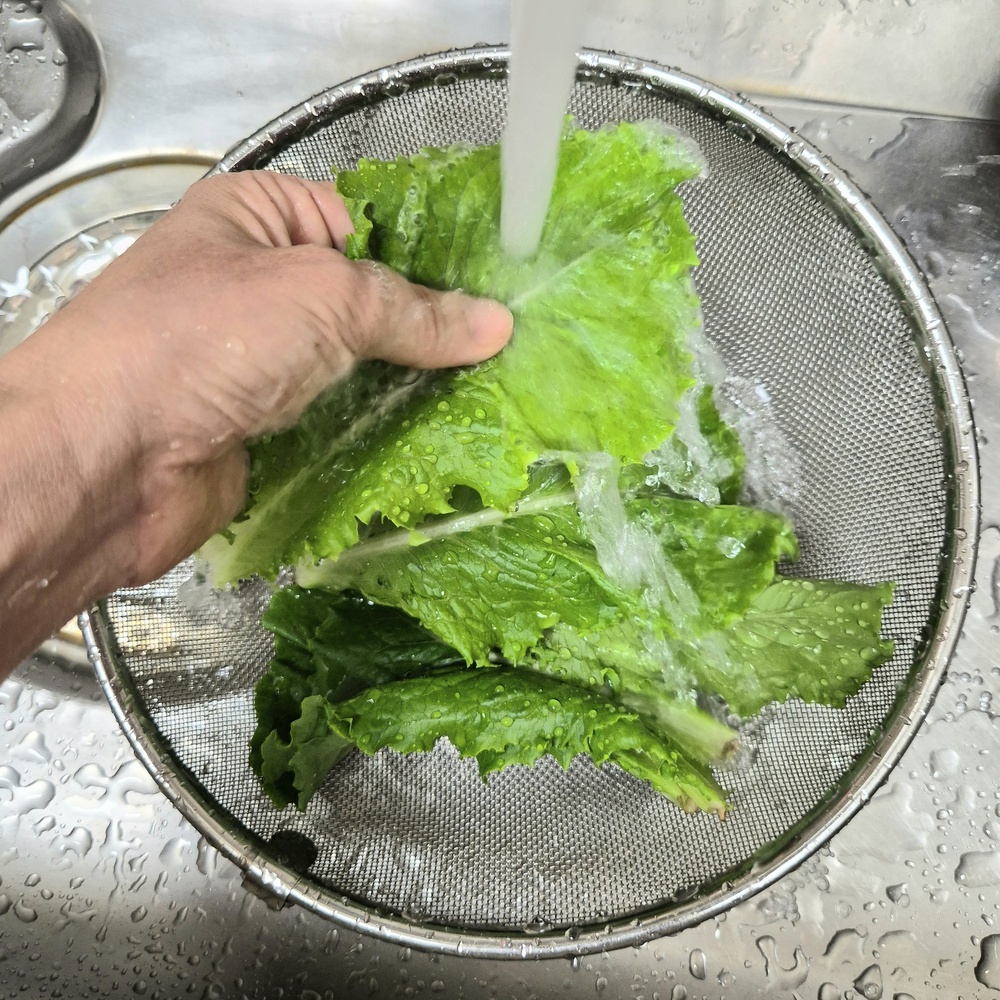 흐르는 물에서 상추를 한 장씩 씻는 모습