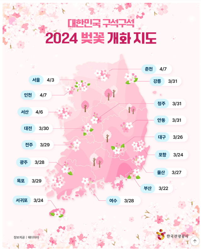 벚꽃 축제 일정