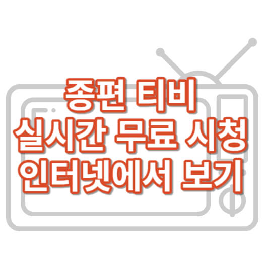 종편-티비-실시간-무료보기